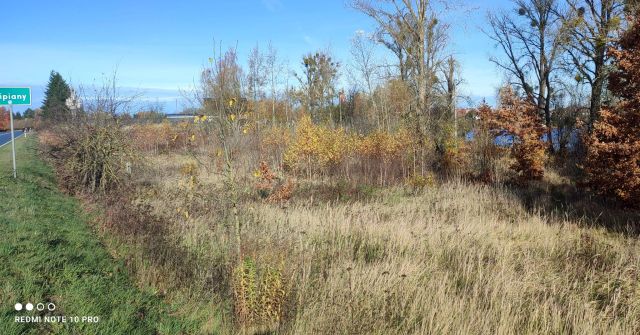 Działka budowlana Lipiany, ul. Małcz. Zdjęcie 1