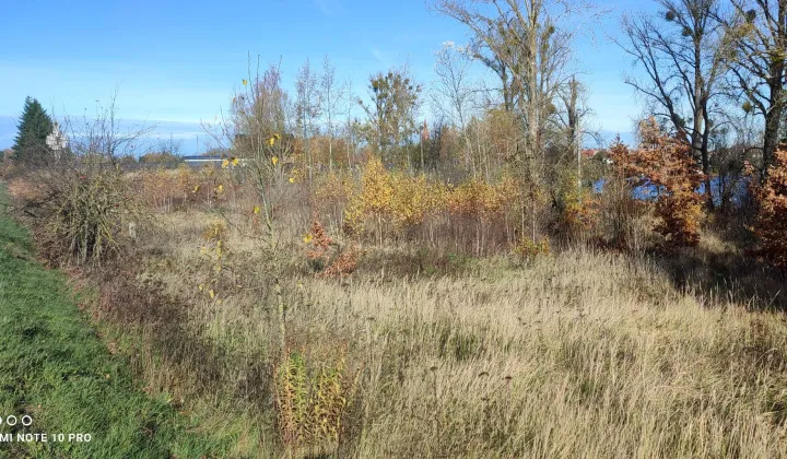 Działka budowlana Lipiany, ul. Małcz