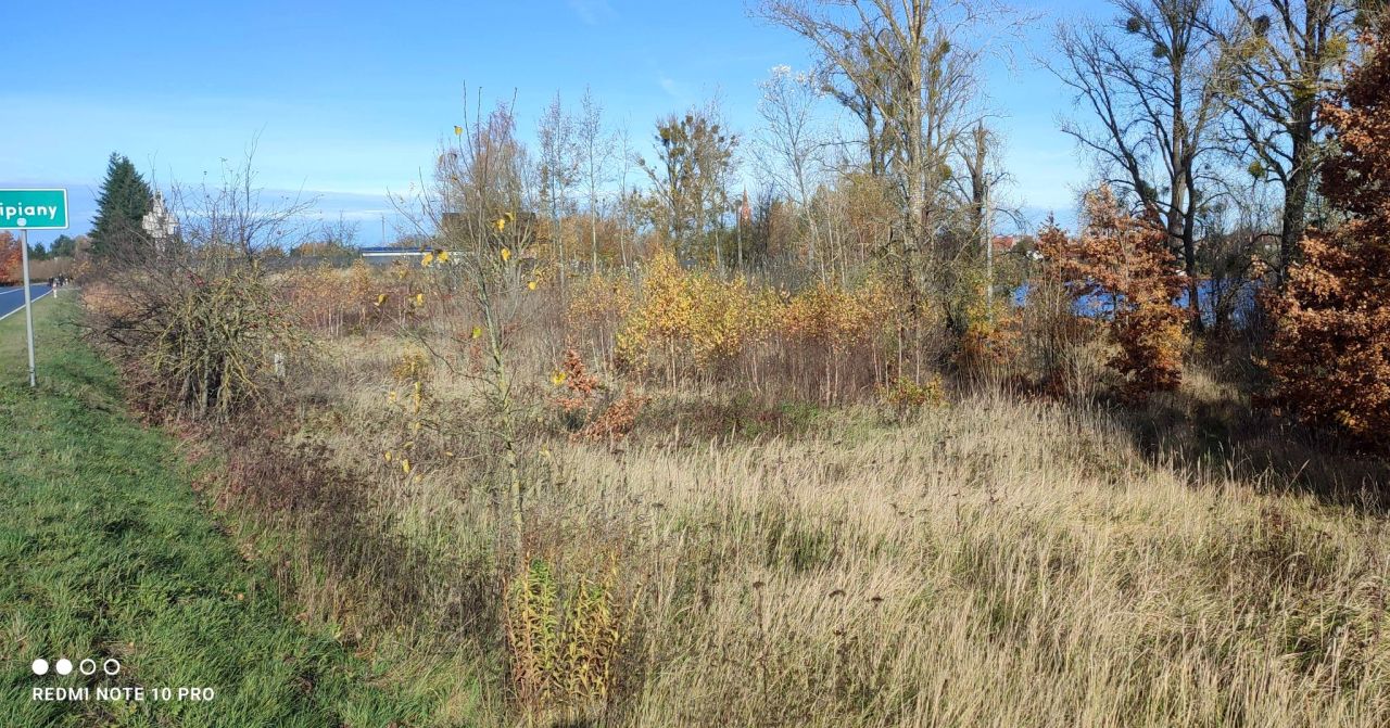 Działka budowlana Lipiany, ul. Małcz