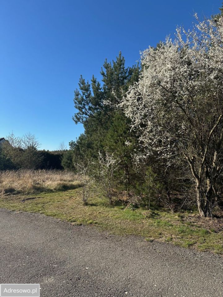 Działka budowlana Sowno. Zdjęcie 5