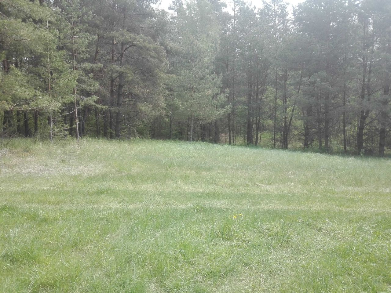 Działka Gawiniańce. Zdjęcie 4