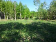 Działka rekreacyjna Pilec. Zdjęcie 4