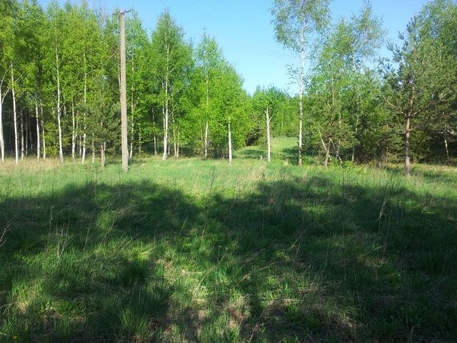 Działka rekreacyjna Pilec. Zdjęcie 5