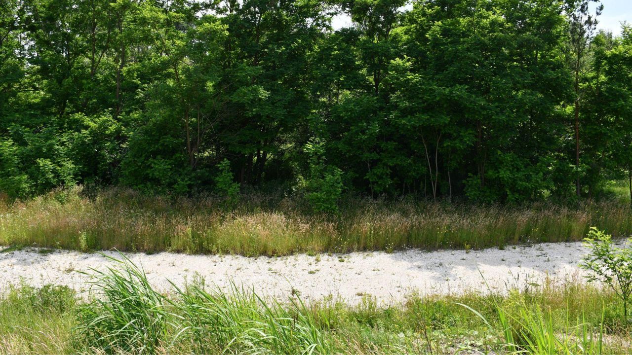 Działka inwestycyjna Szczaki, ul. Łanowa. Zdjęcie 8