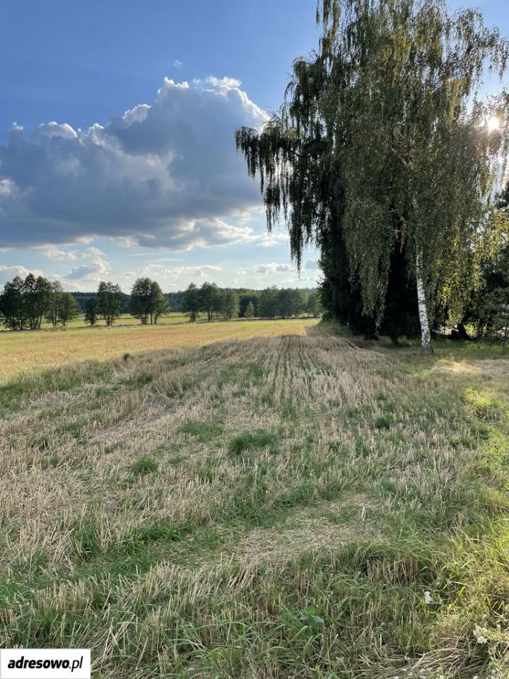 Działka siedliskowa Rydzewo. Zdjęcie 8