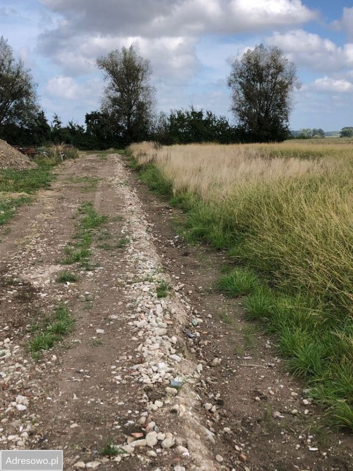 Działka budowlana Łekno. Zdjęcie 7