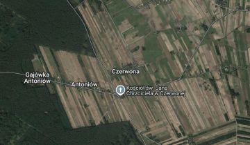 Działka Czerwona