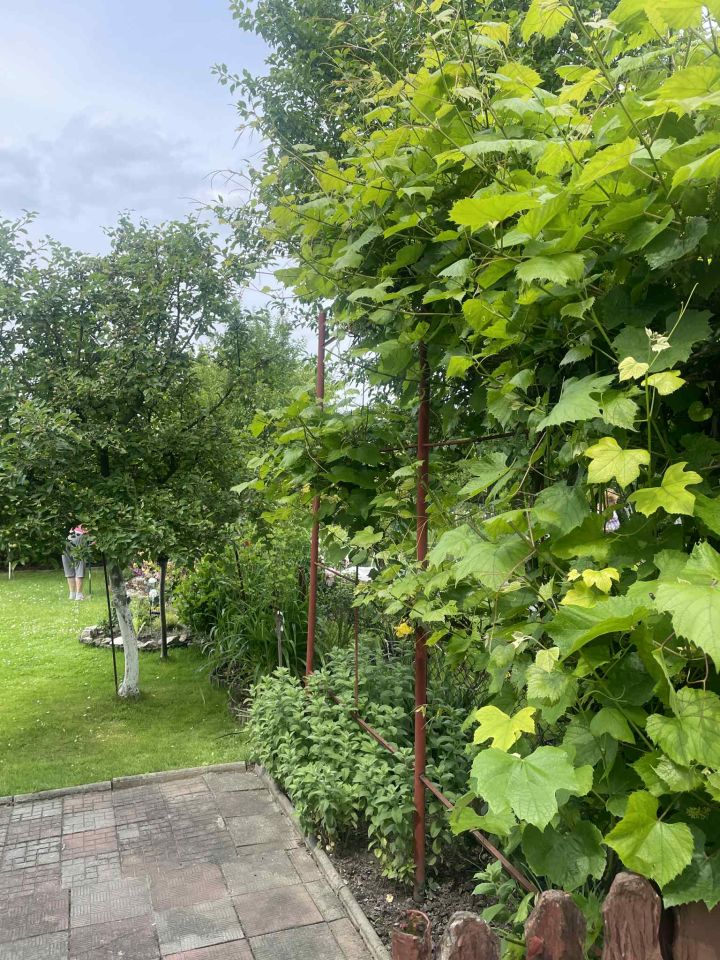 Działka rod Żory, ul. Okrężna. Zdjęcie 5