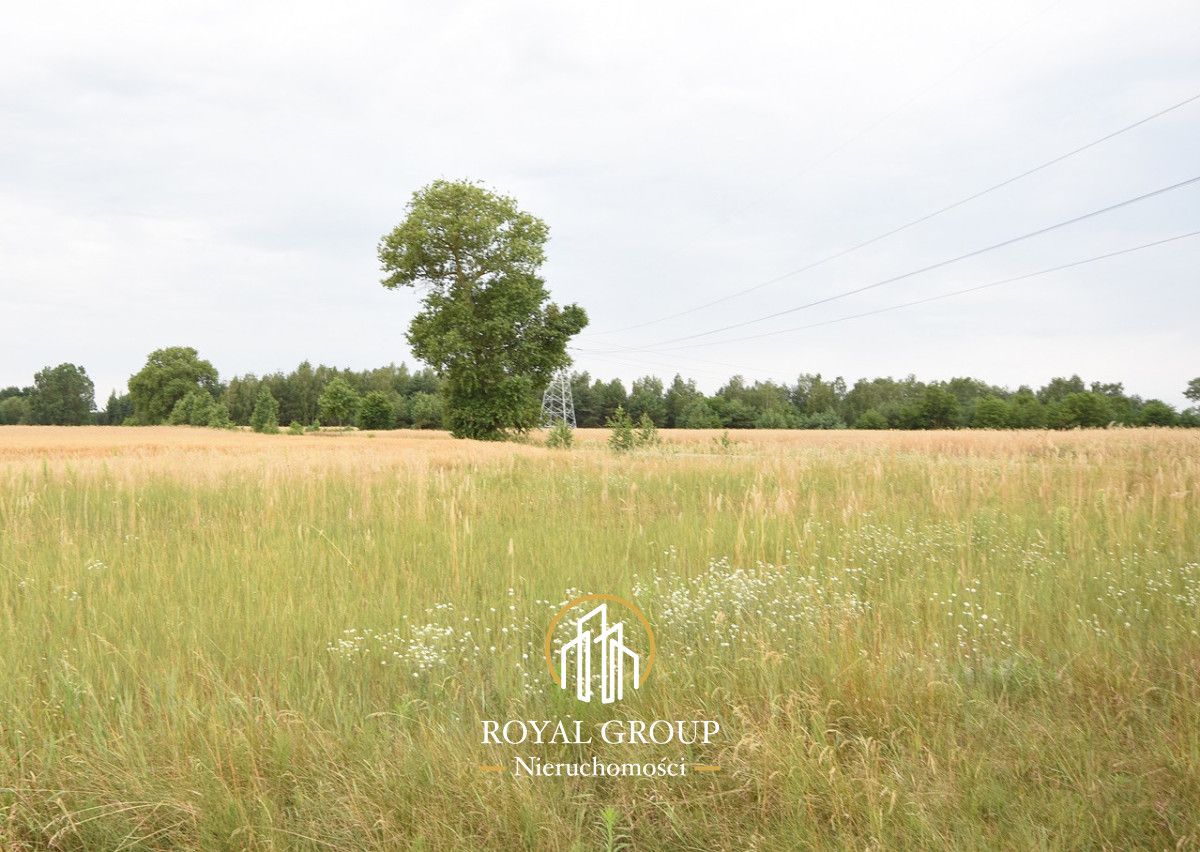 Działka siedliskowa Górka. Zdjęcie 5