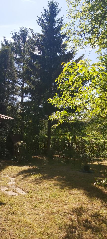 Działka rod Warszawa Mokotów, ul. Romana Statkowskiego 2. Zdjęcie 5