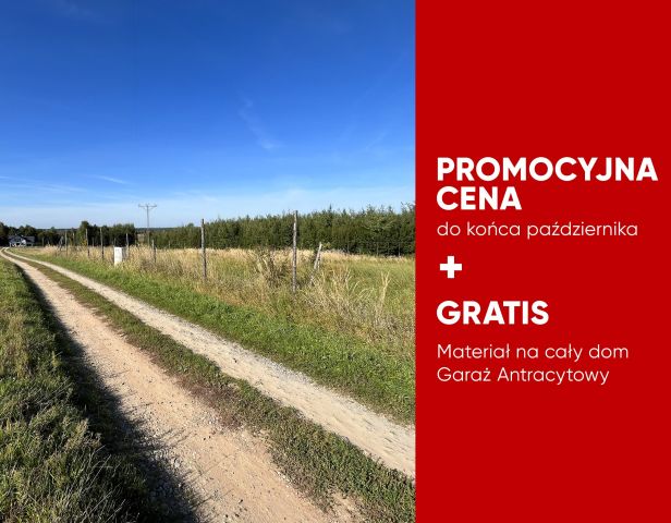 Działka rolno-budowlana Olchowa. Zdjęcie 1
