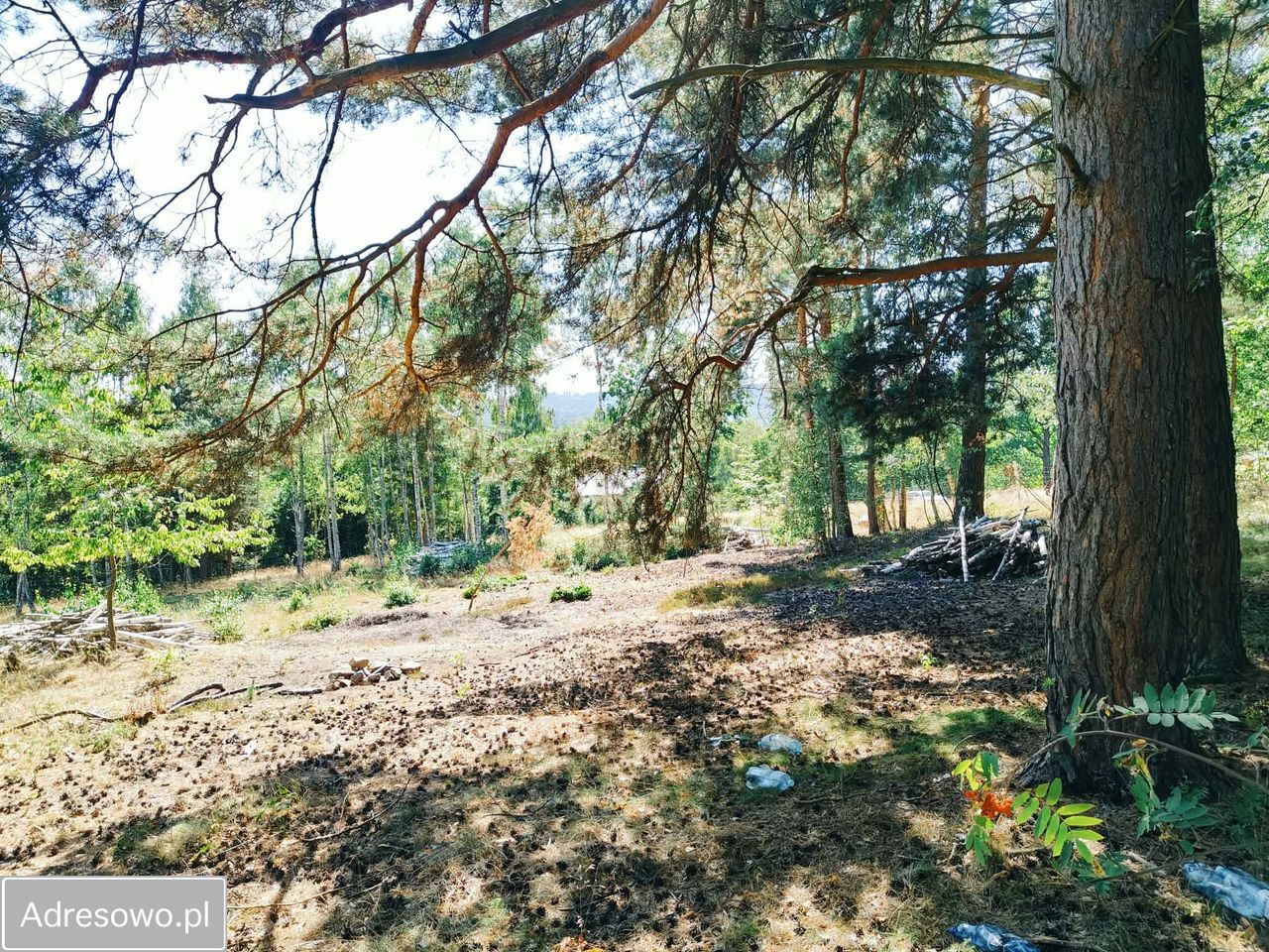 Działka budowlana Chocieszów. Zdjęcie 7