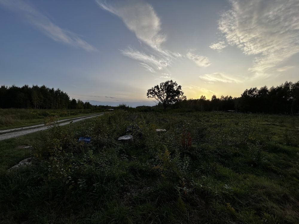 Działka budowlana Budy Michałowskie, ul. Bluszczowa. Zdjęcie 4