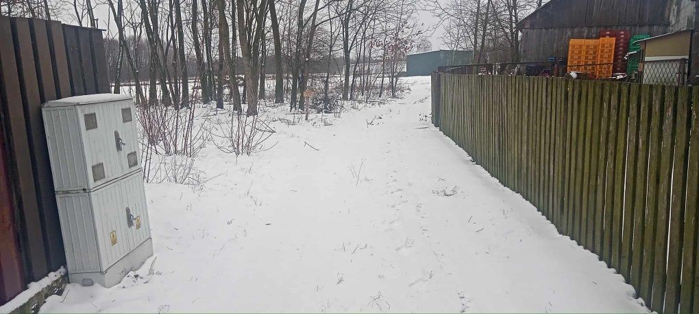 Działka rolno-budowlana Korzeń. Zdjęcie 7