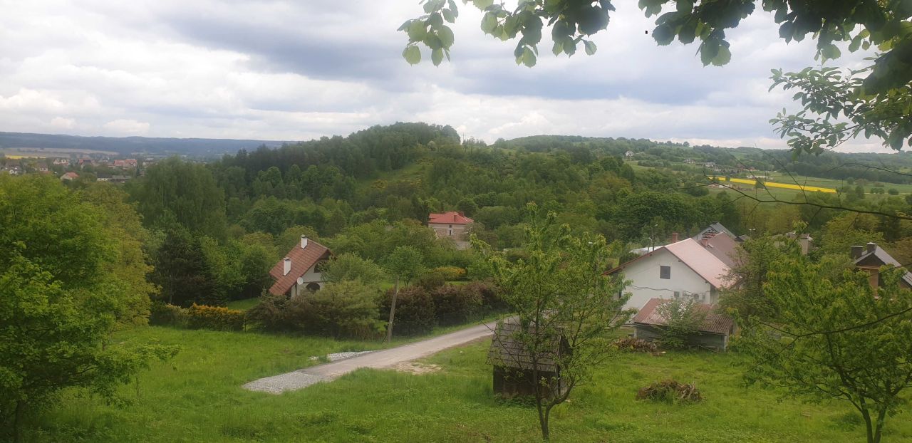 Działka rolna Nielepice. Zdjęcie 2