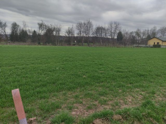 Działka rolno-budowlana Malawa. Zdjęcie 1