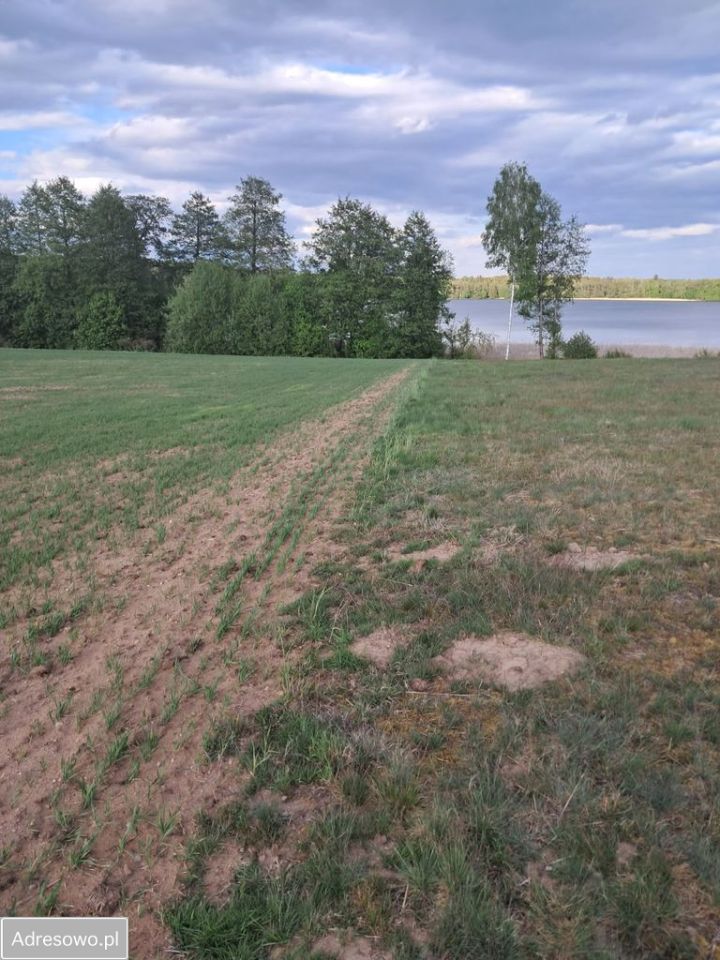 Działka inwestycyjna Jabłonowo. Zdjęcie 3