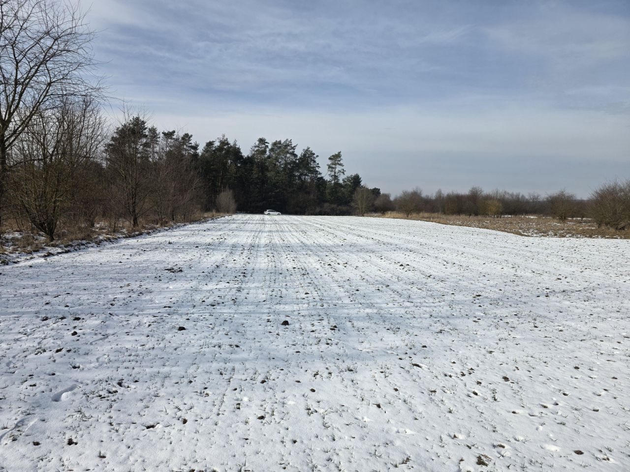 Działka rolna Wolica, Wolica. Zdjęcie 6