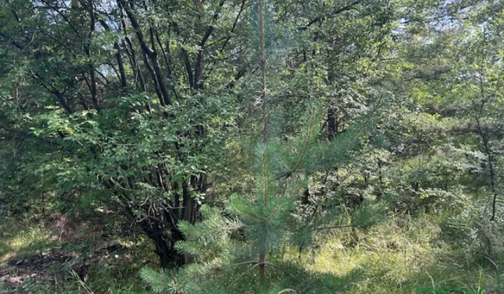 Działka inna Mysłowice Wesoła, ul. 11 Listopada