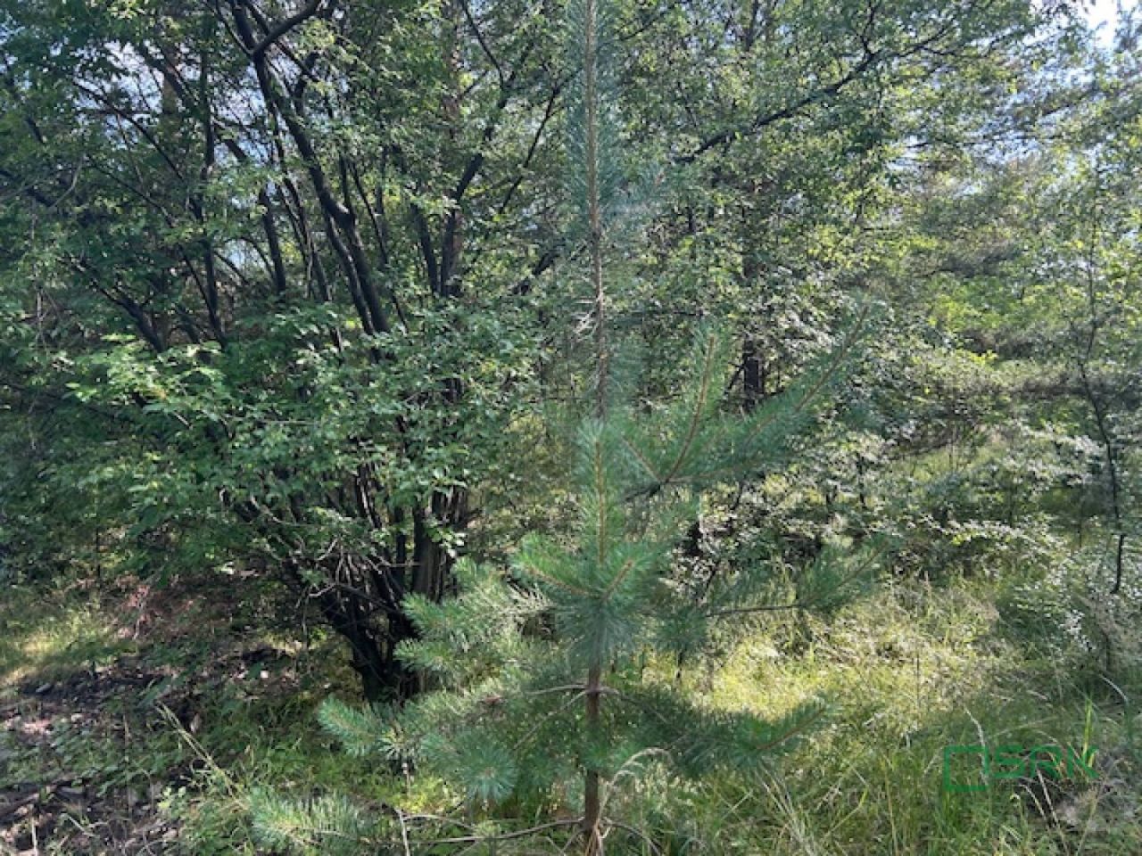 Działka Mysłowice, ul. 11 Listopada. Zdjęcie 3