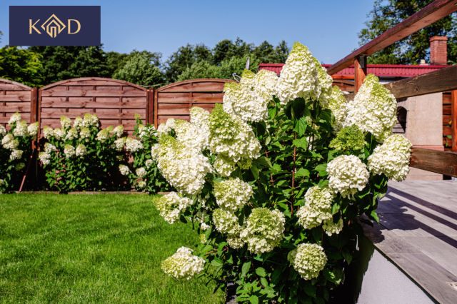 Działka rekreacyjna Sławica. Zdjęcie 7