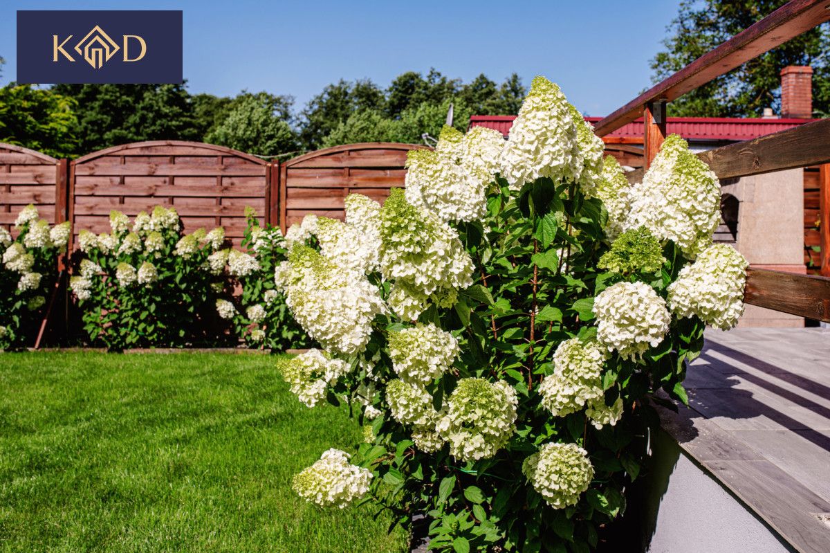 Działka rekreacyjna Sławica. Zdjęcie 7