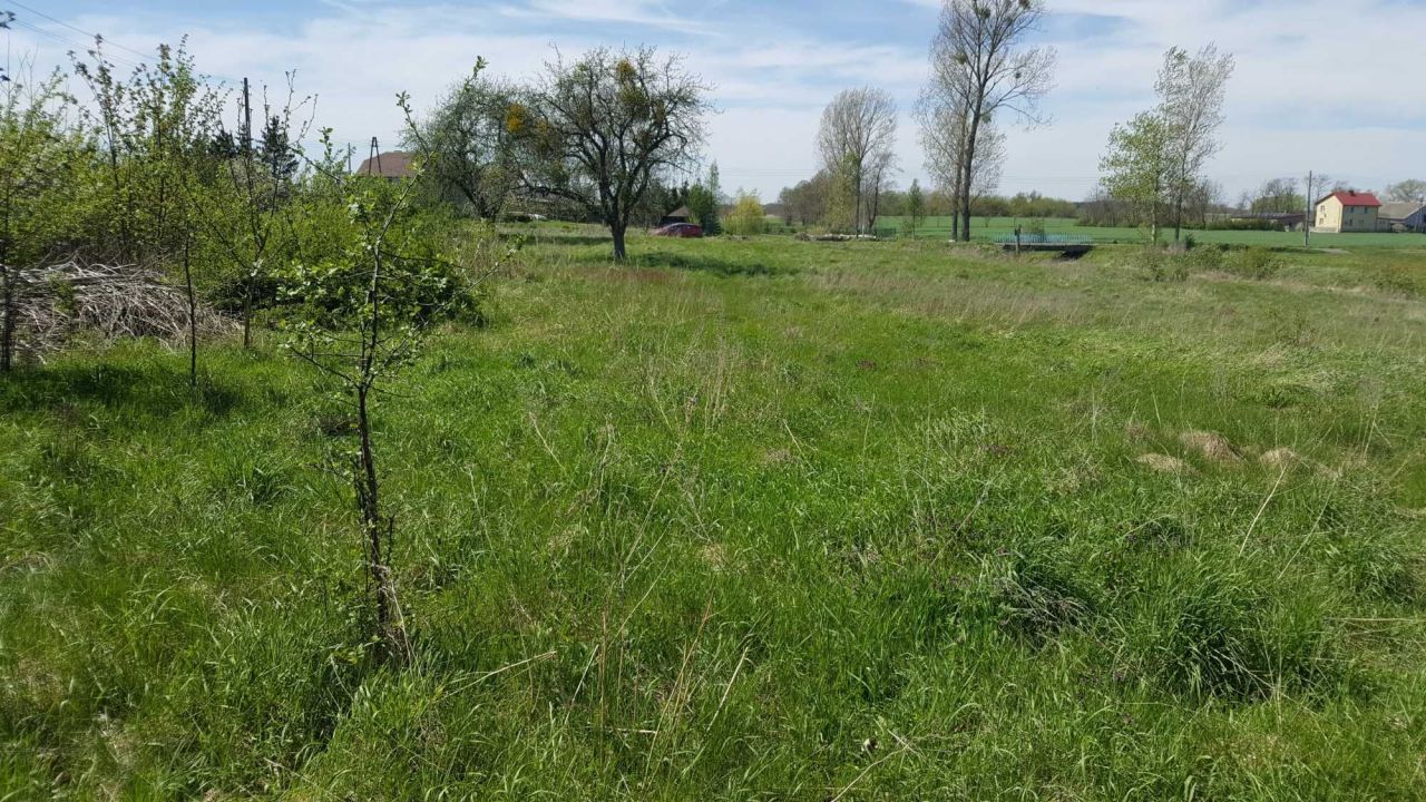 Działka budowlana Zaborowo. Zdjęcie 6