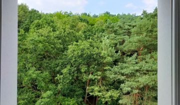 Mieszkanie 1-pokojowe Sopot Przylesie, ul. 23 Marca