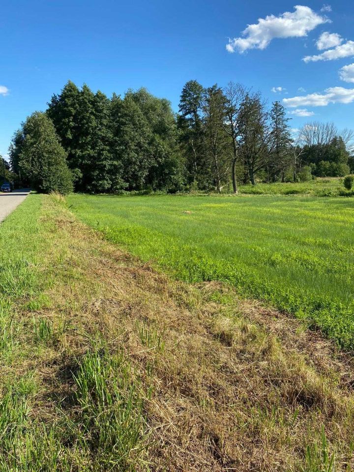 Działka rolno-budowlana Janowiec. Zdjęcie 3
