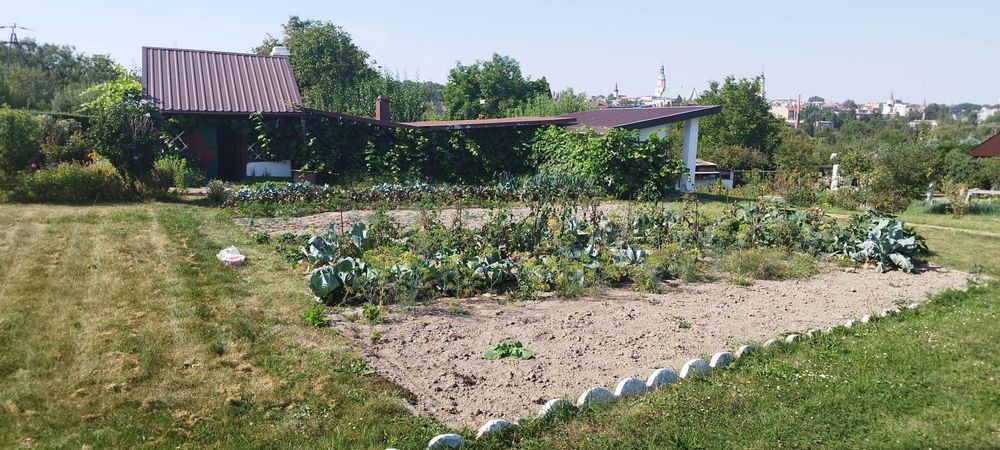 Działka rod Prudnik. Zdjęcie 7