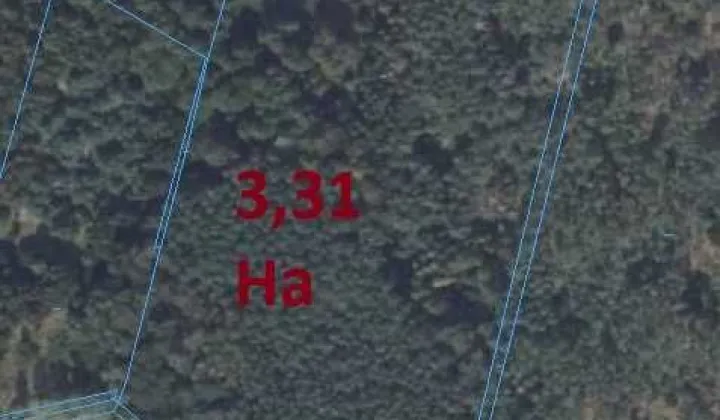 Działka leśna Róg