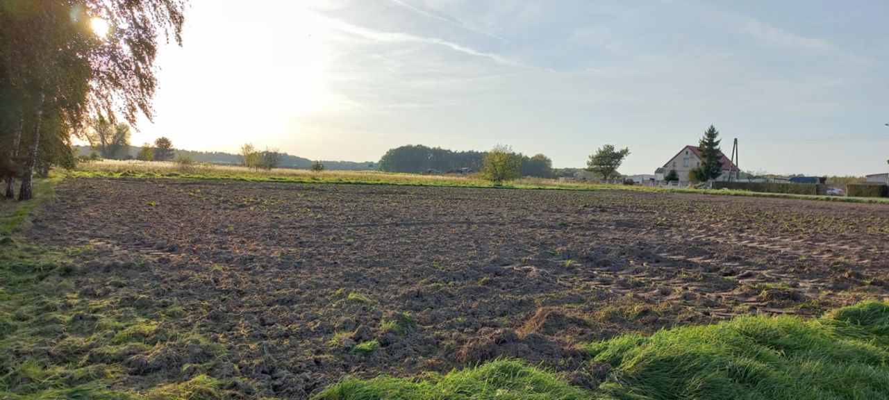 Działka budowlana Korzeńsko, ul. Chodlewska. Zdjęcie 2