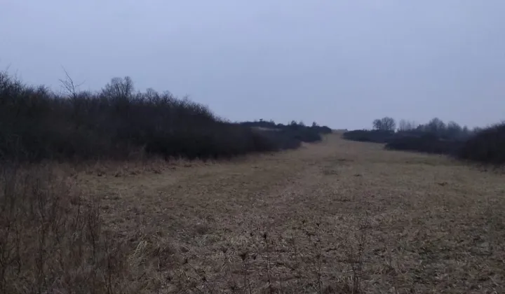 Działka rolna Poręba Niwki