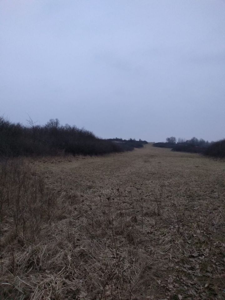 Działka rolna Poręba Niwki