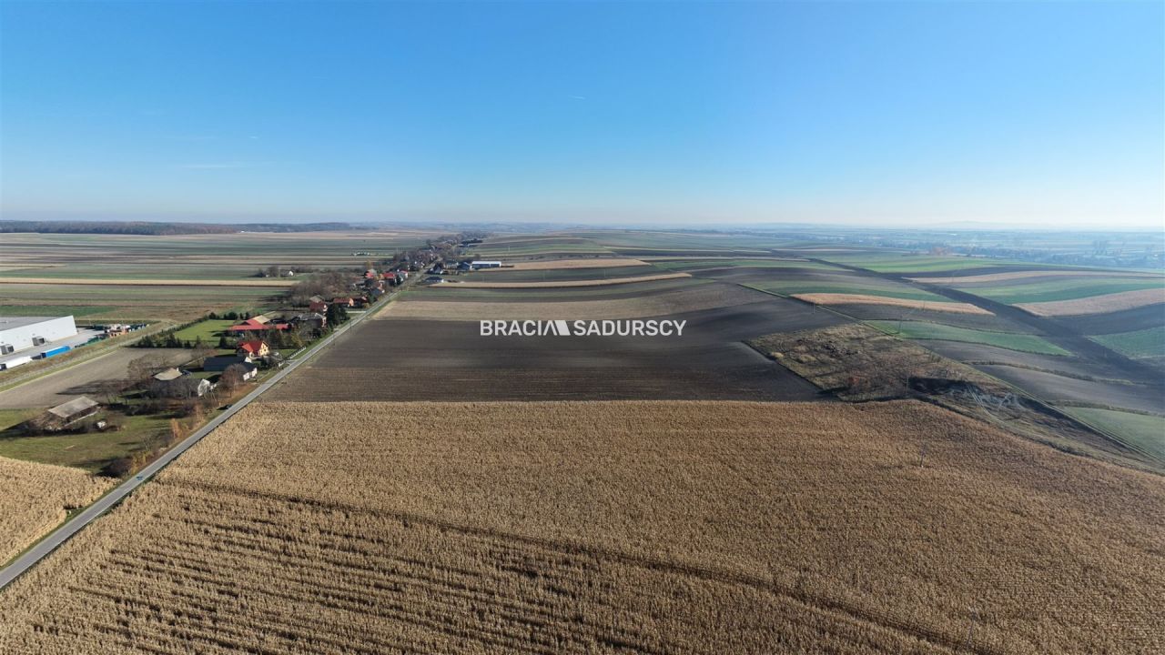 Działka budowlana Prandocin-Iły. Zdjęcie 14