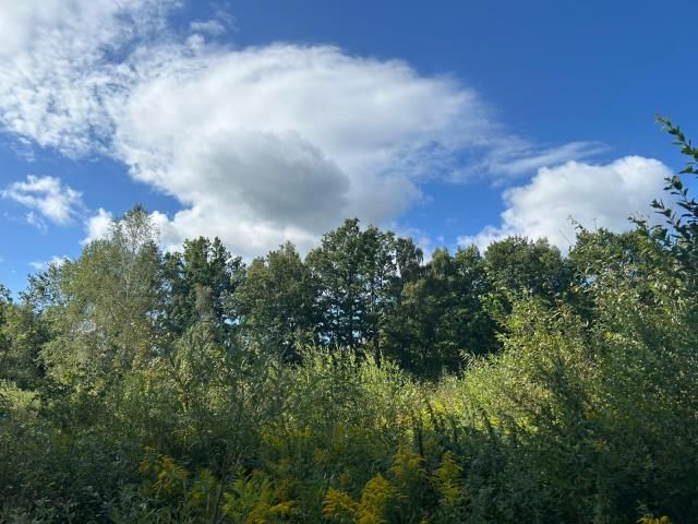 Działka siedliskowa Łomnica, ul. Karpnicka. Zdjęcie 9