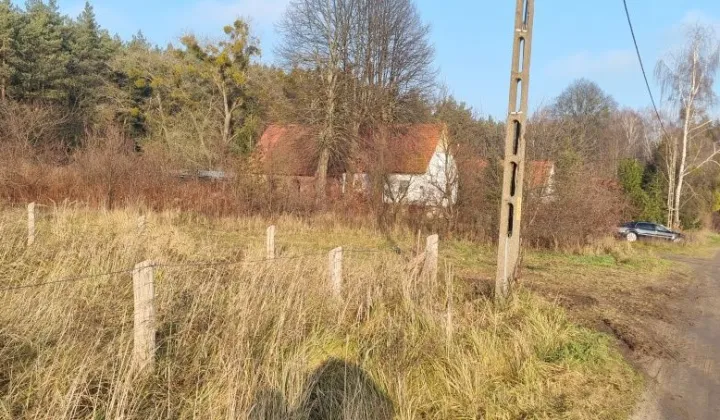 Działka rolno-budowlana Dębno, ul. Hołdownicza