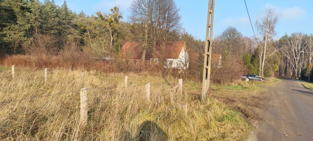 Działka rolno-budowlana Dębno, ul. Hołdownicza