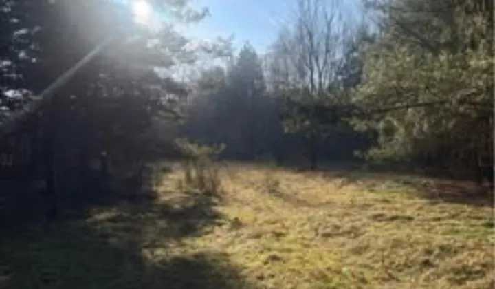 Działka rolno-budowlana Teodory