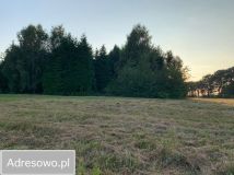 Działka rolna Rzystnowo. Zdjęcie 3