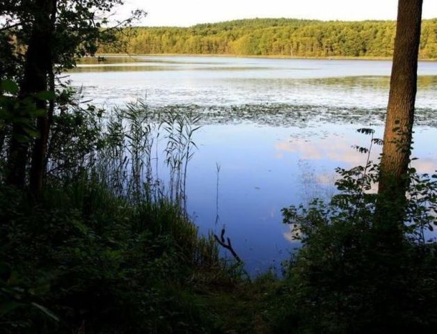 Działka budowlana Silna. Zdjęcie 4