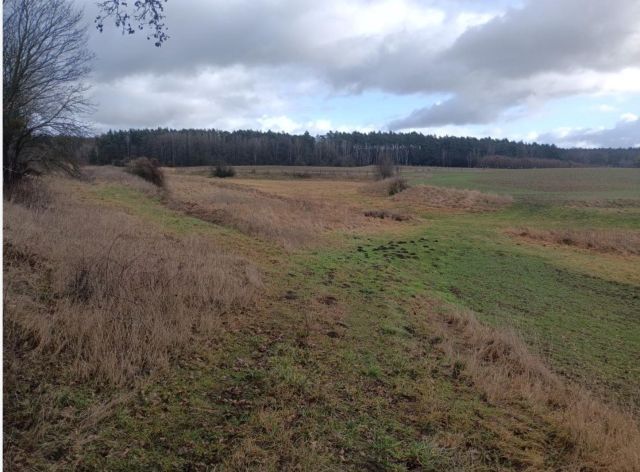 Działka rolna Grzymiradz. Zdjęcie 1