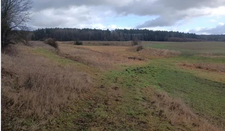 Działka rolna Grzymiradz