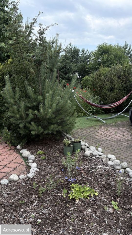 bliźniak, 3 pokoje Ostrów Wielkopolski Szczygliczka, ul. Strumykowa. Zdjęcie 14