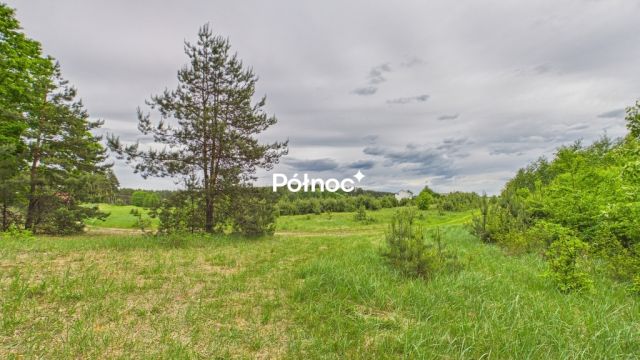 Działka budowlana Dobry Las. Zdjęcie 23