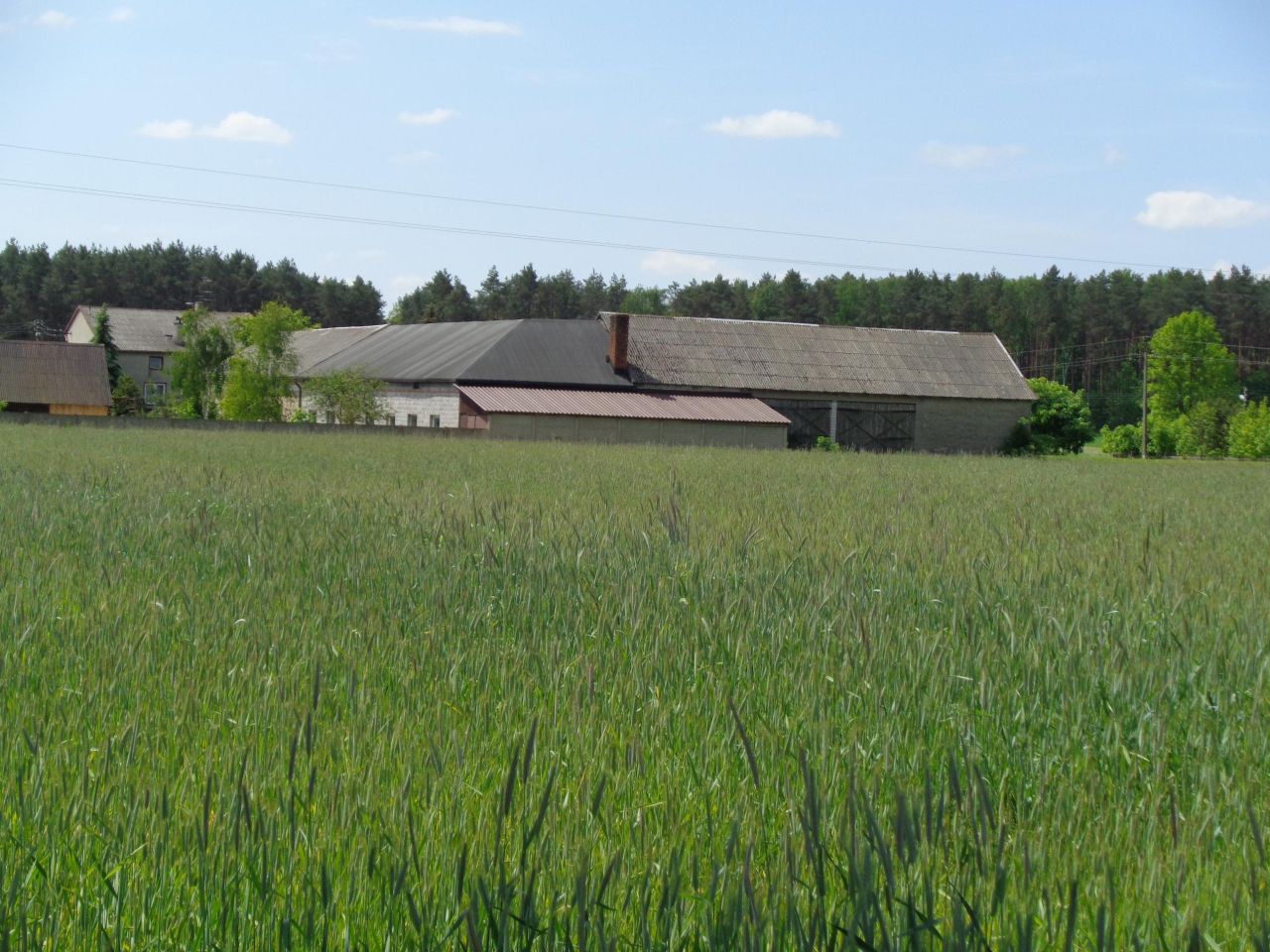 dom wolnostojący, 7 pokoi Wola Przerębska. Zdjęcie 11