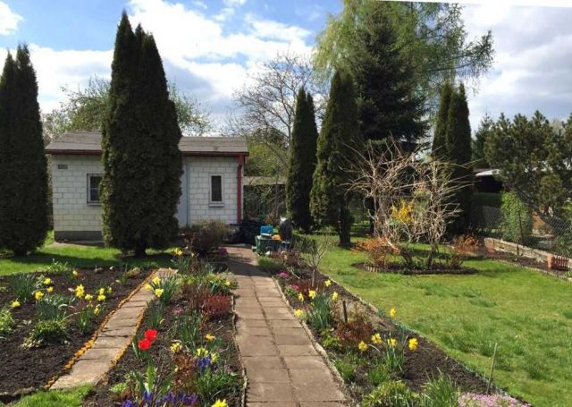 Działka leśna Ząbki. Zdjęcie 1