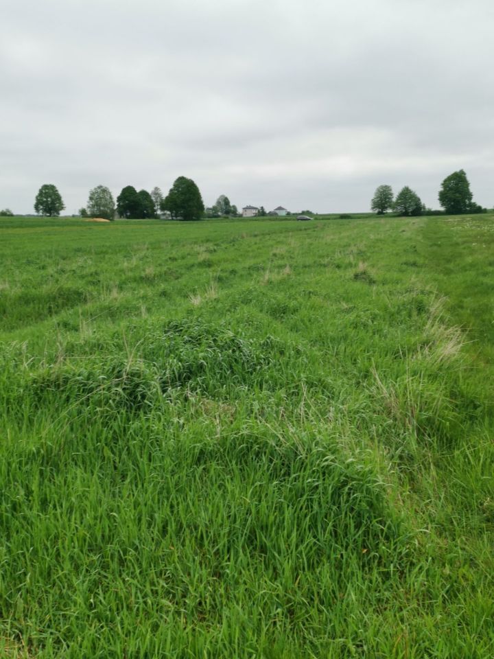 Działka budowlana Krasów. Zdjęcie 6