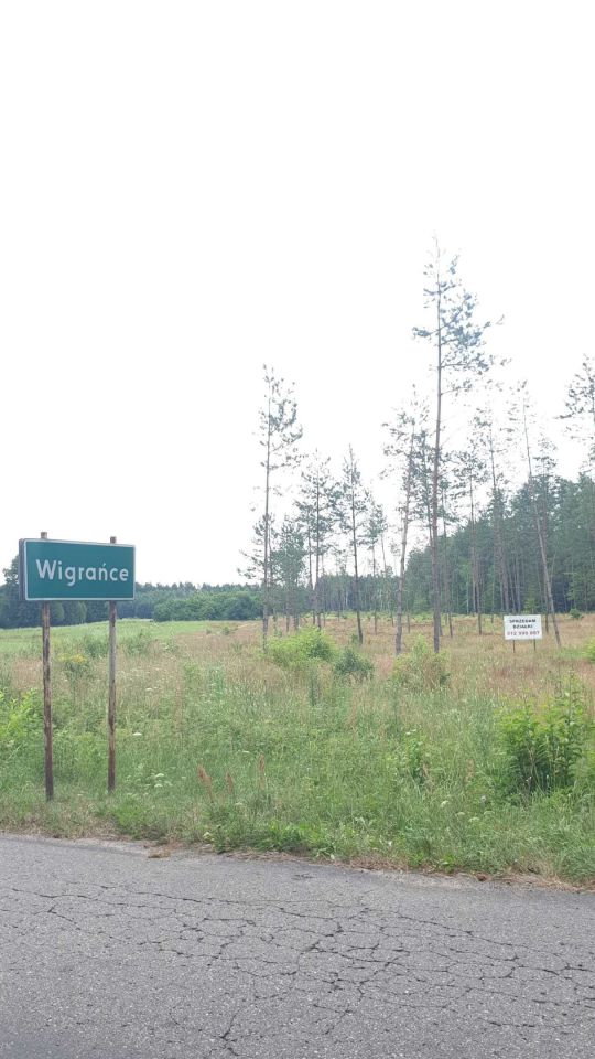 Działka rolna Wigrańce. Zdjęcie 8