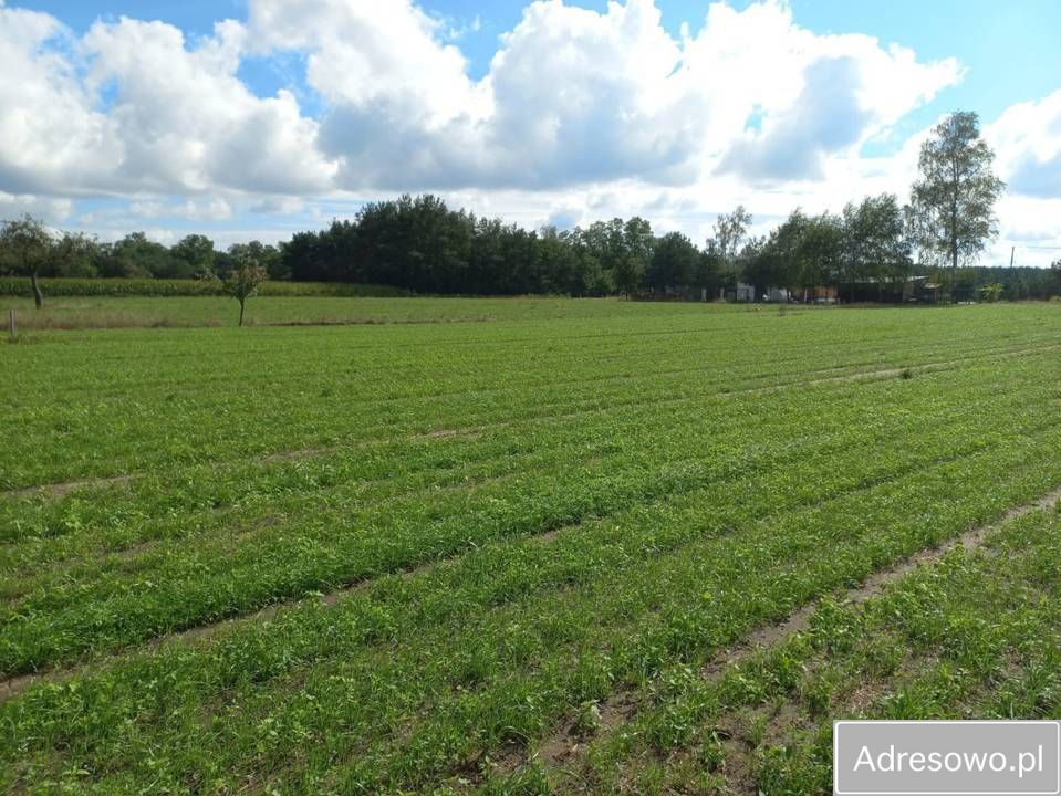 Działka budowlana Ignacew Folwarczny. Zdjęcie 10